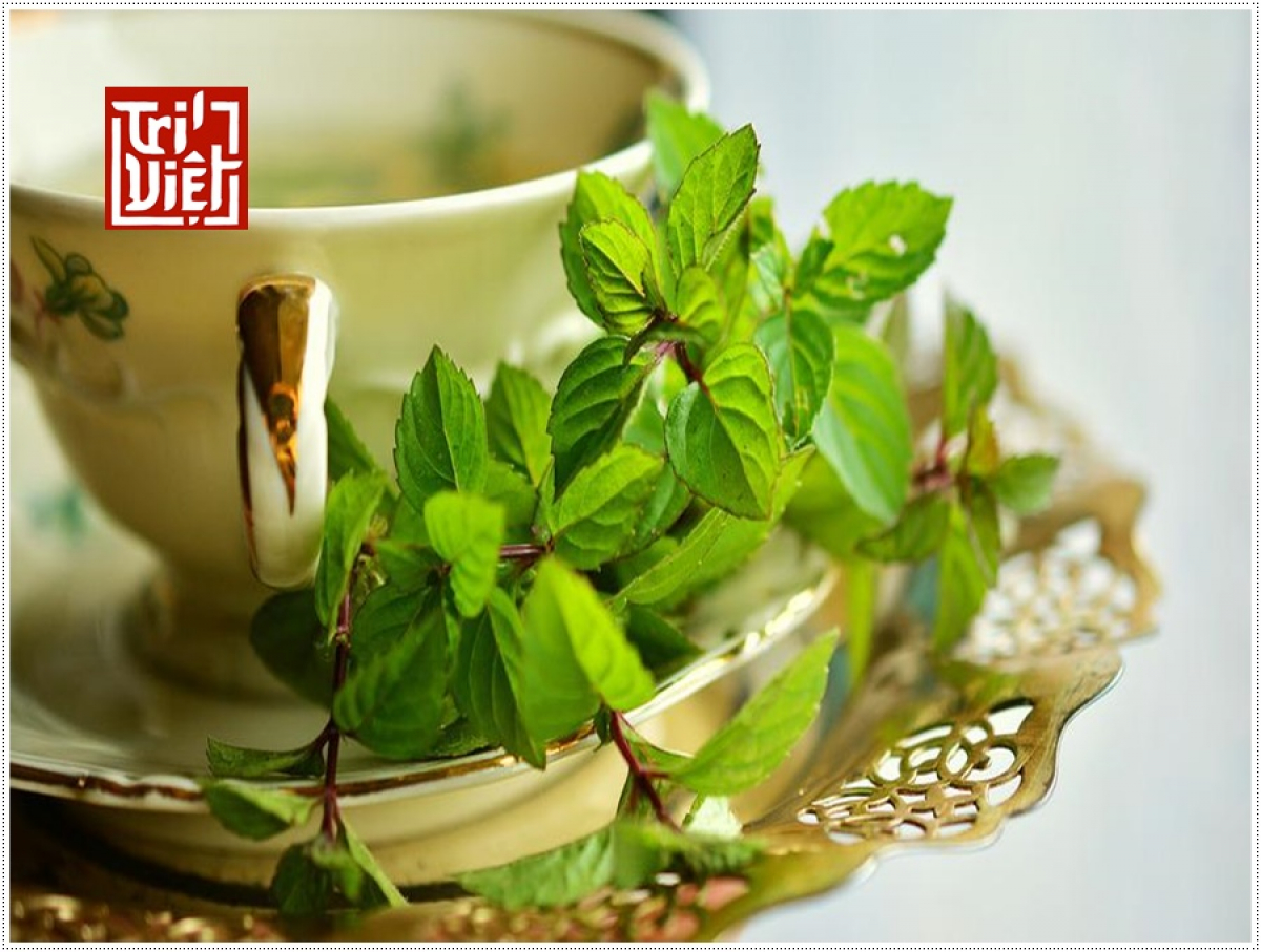 Trà long tỉnh là gì?