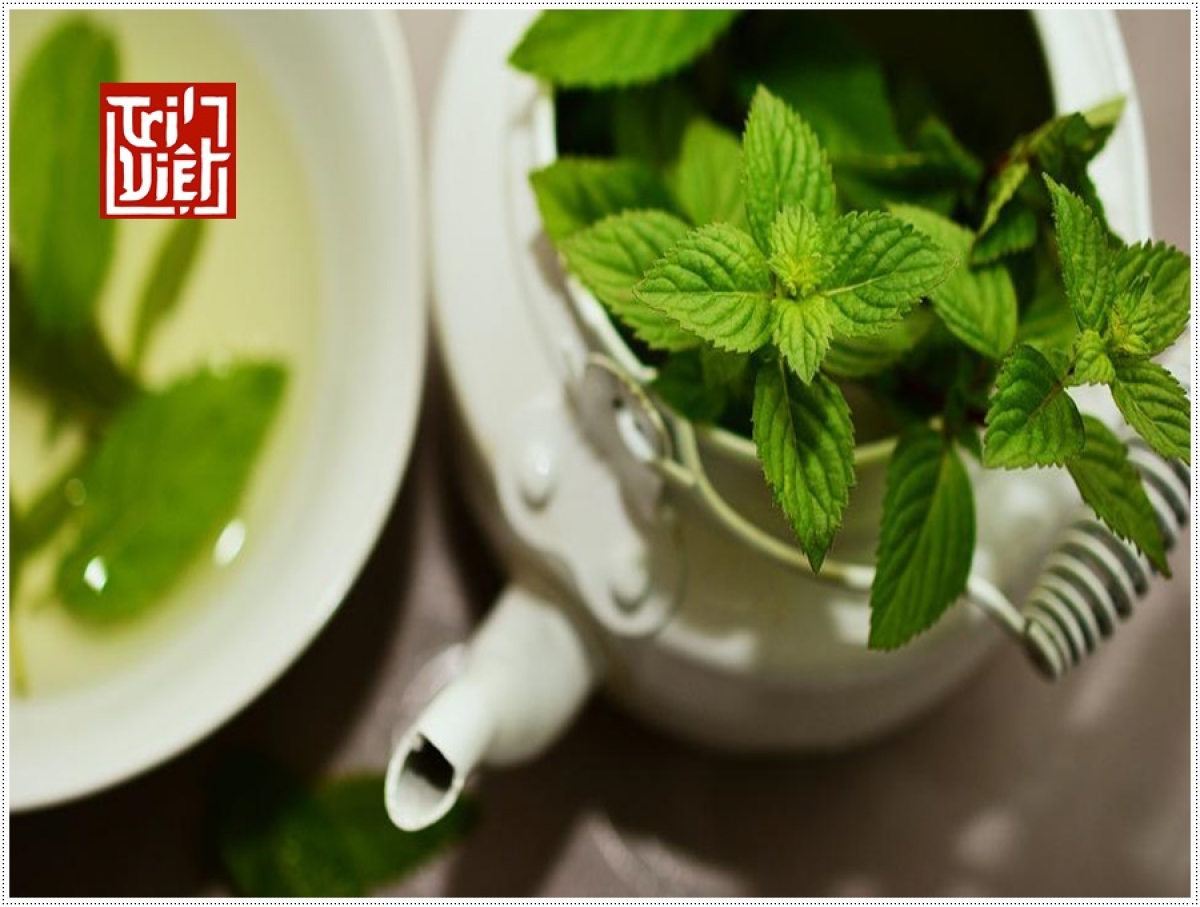 Nét đặt biệt của trà đinh?