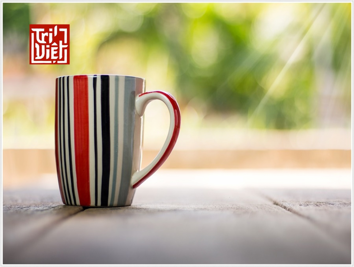 So sánh trà oolong kim tuyên và trà oolong tứ quý