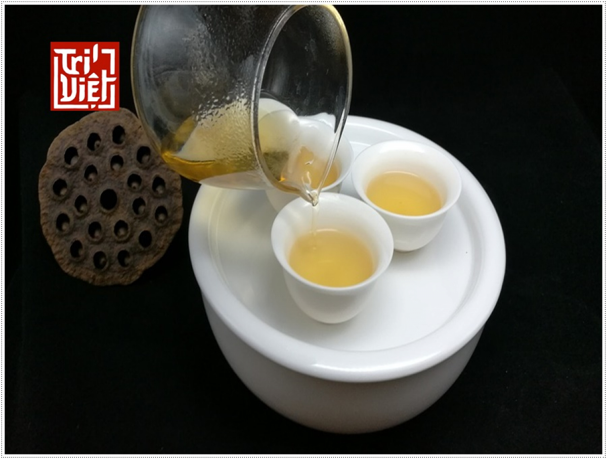 Bạch trà là gì? lịch sử của bạch trà